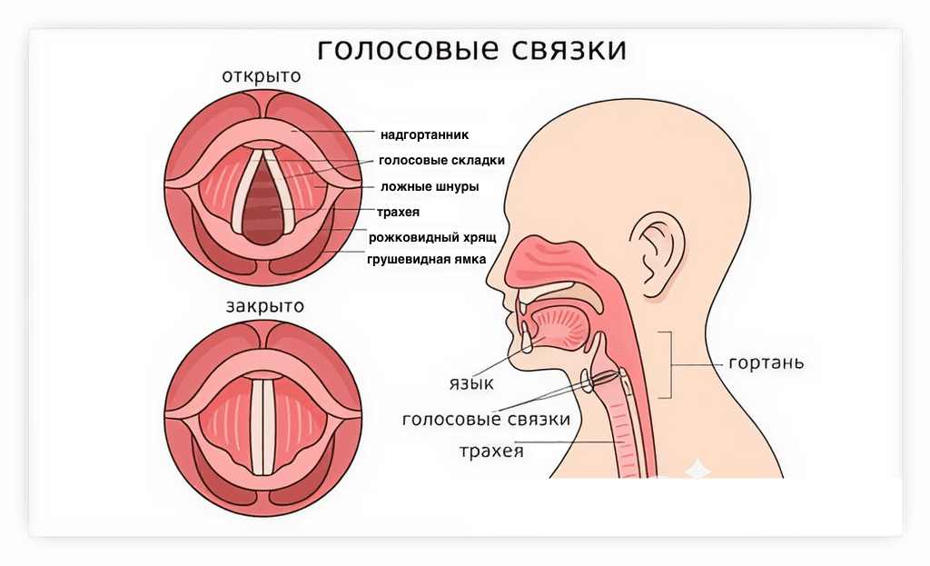 vsemirnyDenGolosa-Pica.png vsemirnyDenGolosa-Pica.png